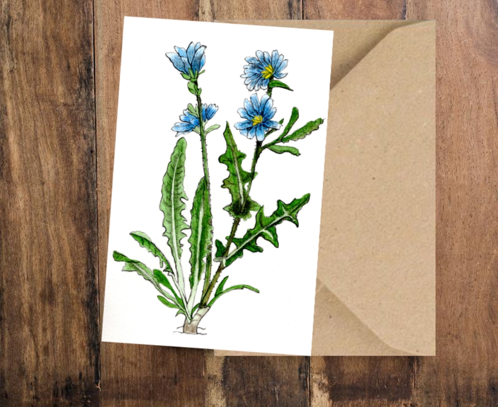 Chicory Note Card by Lisa Ray Art
